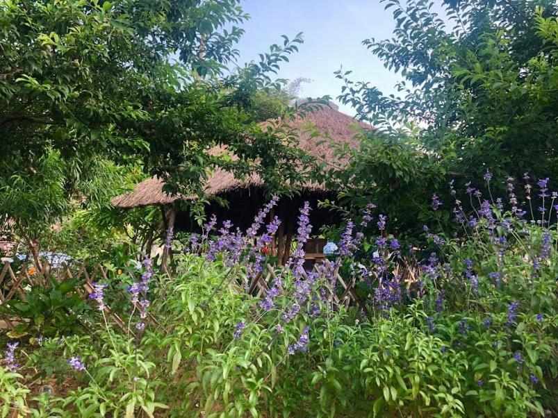 Savana Moc Chau Bed & Breakfast Bagian luar foto
