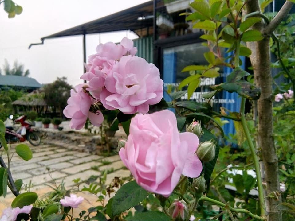 Savana Moc Chau Bed & Breakfast Bagian luar foto