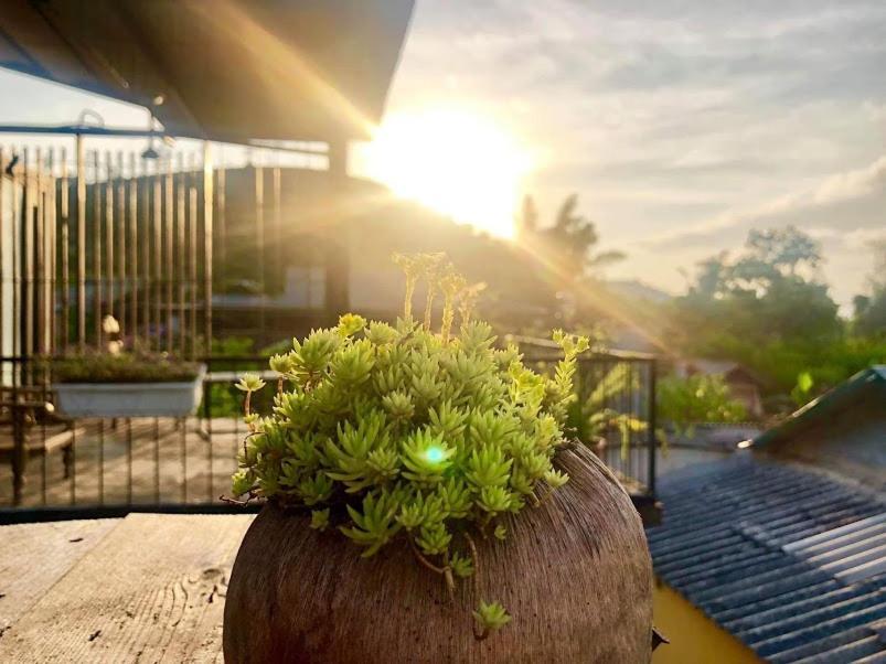 Savana Moc Chau Bed & Breakfast Bagian luar foto